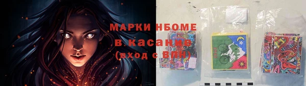 гидра Липки