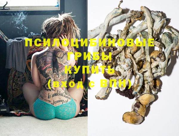 гидра Липки