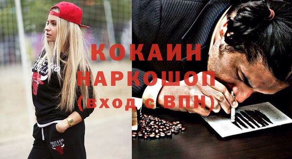 гидра Липки