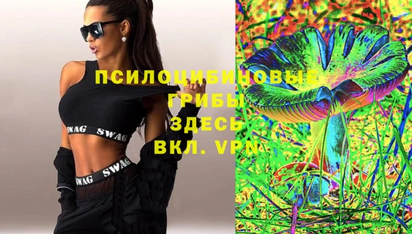 прущие грибы Магадан