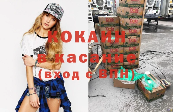 гидра Липки