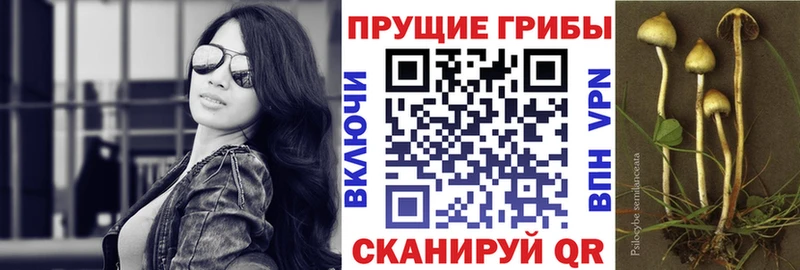 Купить закладки  Белгород  Галлюциногенные грибы мухоморы 